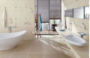 常用衛(wèi)浴潔具性能及特點分析及安裝服務(wù)